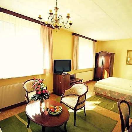 Carinthia Stadthotel ホテル 4*