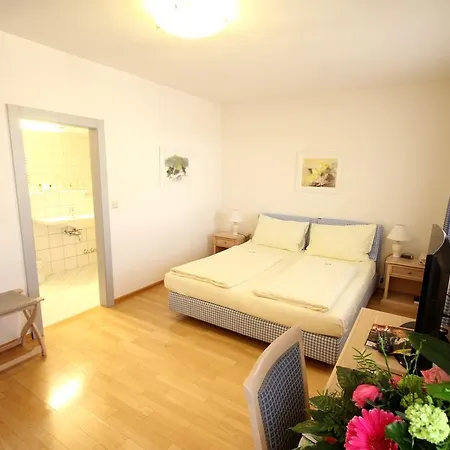 Carinthia Stadthotel Hotel 4*